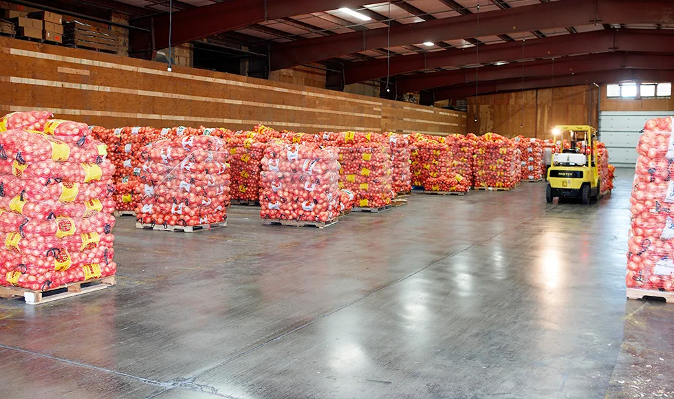 Bodega con pallets de producto listos para el despacho