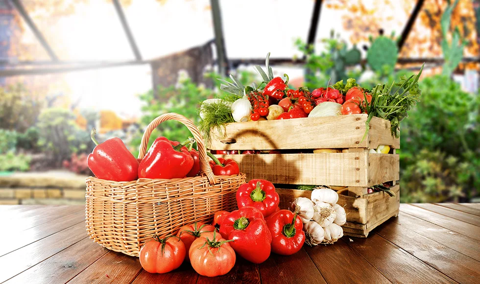 Canasto con tomates y verduras seleccionadas